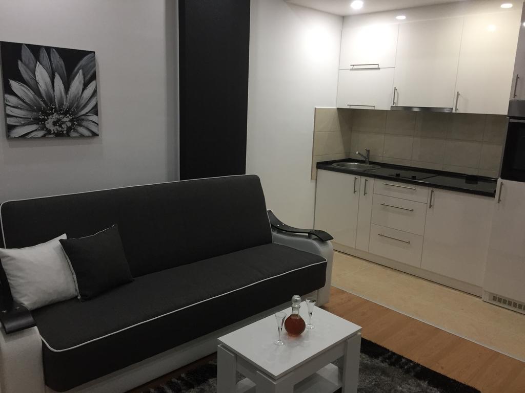Apartman Jezdic Banja Koviljača Eksteriør billede